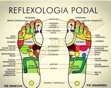 Reflexologia